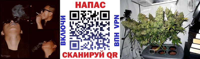 Псилоцибиновые грибы Кемь