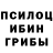 Галлюциногенные грибы MAGIC MUSHROOMS GamerRO25