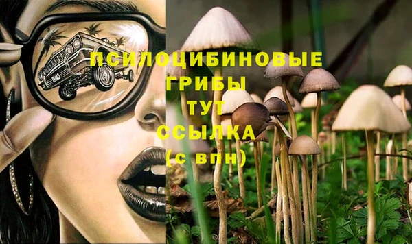 эйфоретик Верея